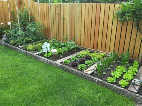 small veg garden ideas