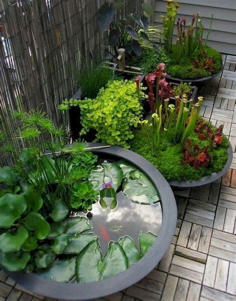 small water garden