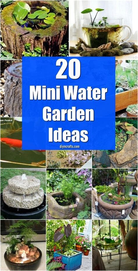 small water garden