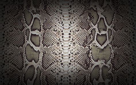 Snakeskin Wallpaper HD Wallpapers Download Free Map Images Wallpaper [wallpaper376.blogspot.com]