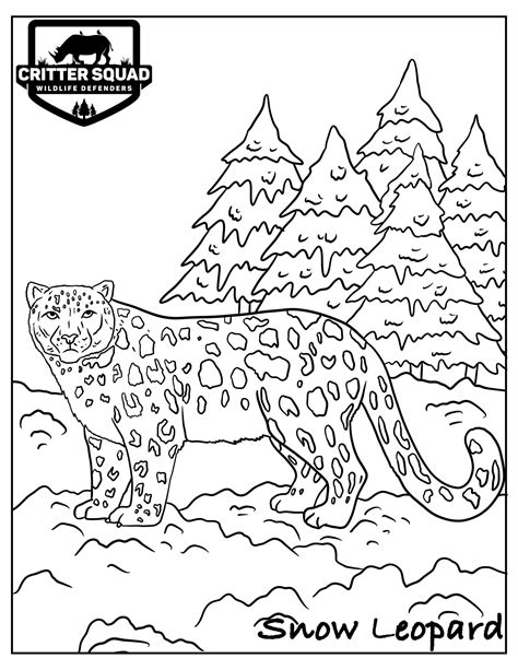 snow leopard coloring pages