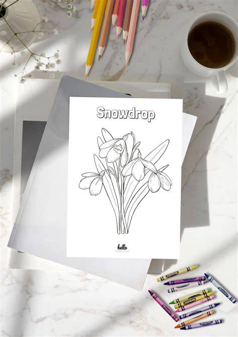 snowdrop colouring page