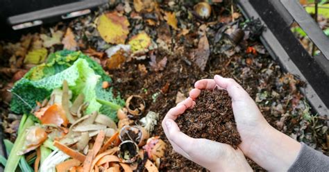 soil and compost