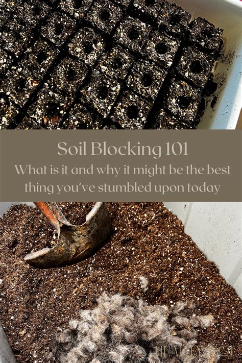 soil blocking