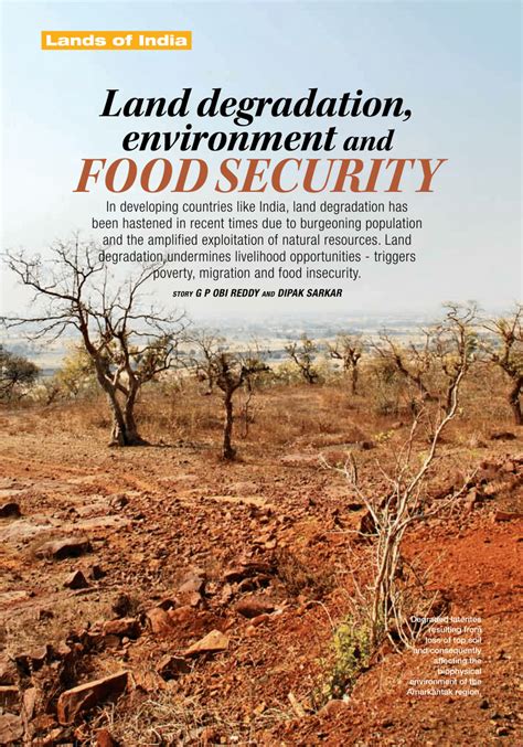 Soil Degradation and Food Security