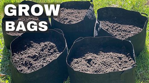 soil for grow bags