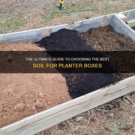 soil for planter box