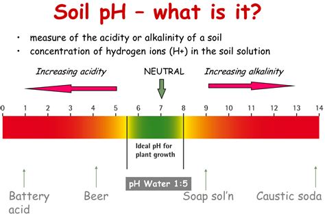 Kelembaban dan pH Tanah