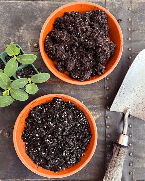 soil tips