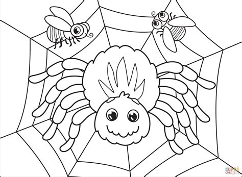 spider coloring pages