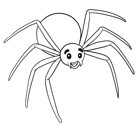 spider colouring