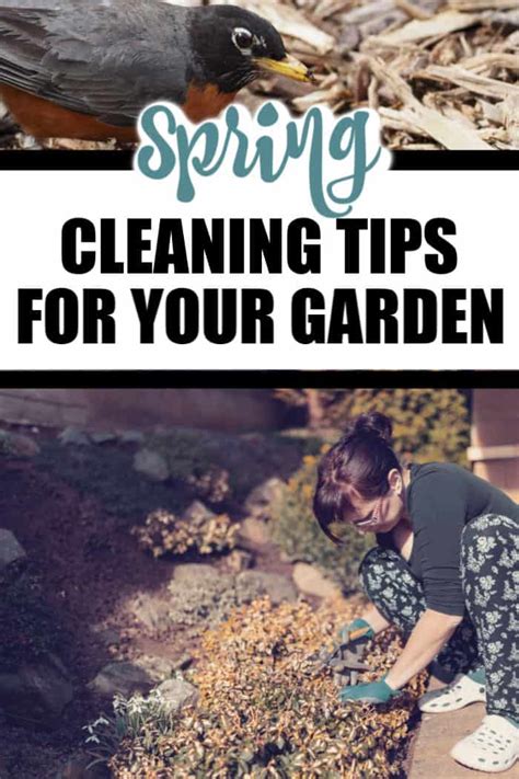 spring cleaning gardening tips