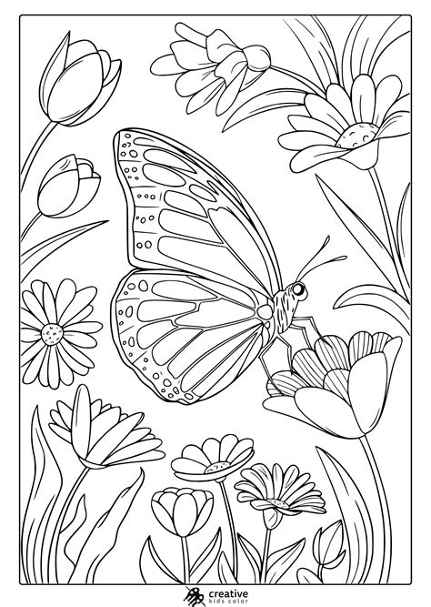 spring colouring book
