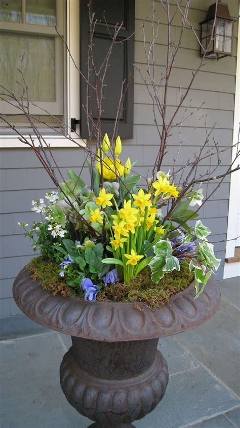 spring flower pots