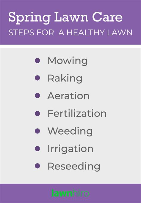 spring lawn care steps