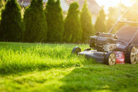spring lawn mowing tips