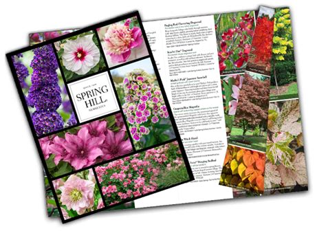 Springhill Nursery Catalog