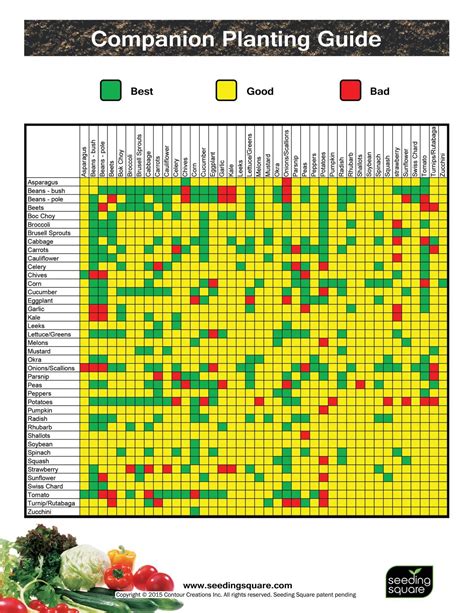 square foot gardening companion planting chart