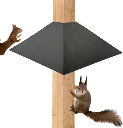 squirrel deterrent for garden