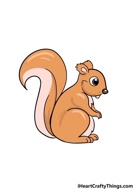 squirrel drawing easy with colour