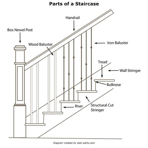 stair anatomy