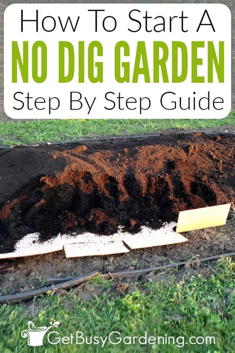 starting a no dig garden in the spring