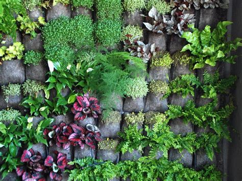starting a vertical garden