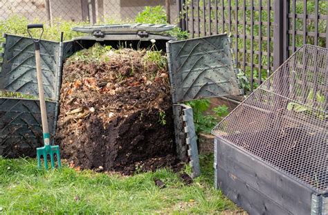 starting compost pile