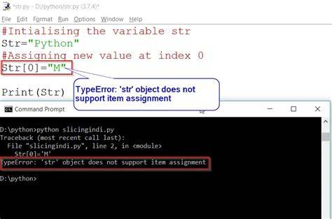 str object does not support item assignment duplicate