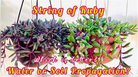 string of ruby