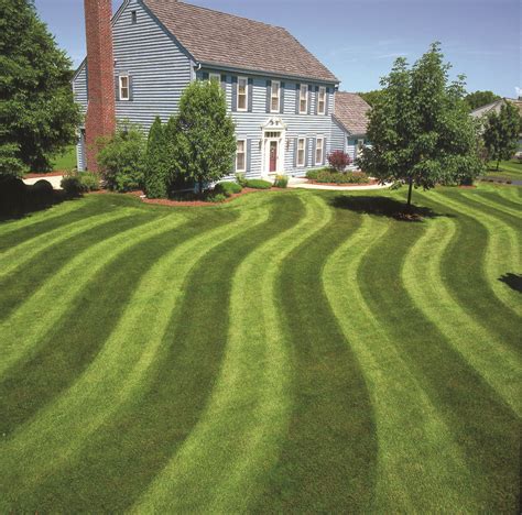 striping lawn tips