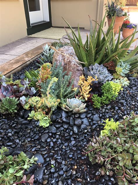 succulent flower bed