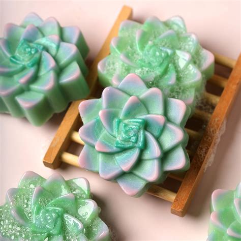 succulent soap