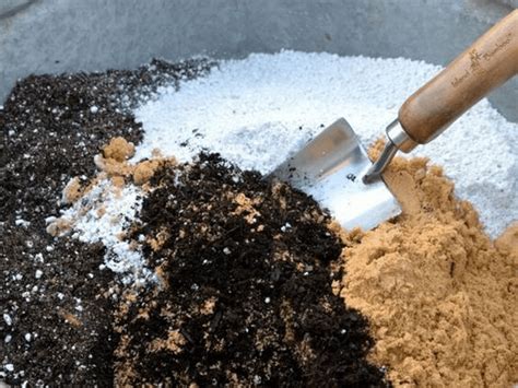 succulent soil sand