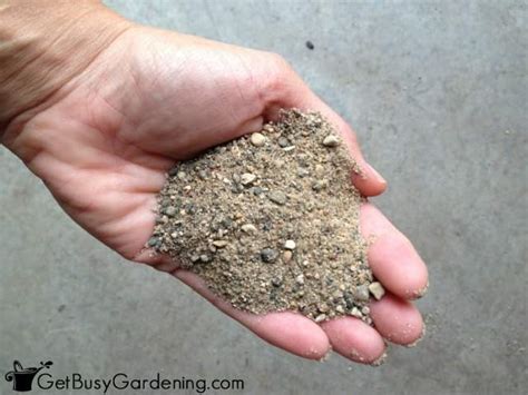 succulent soil sand