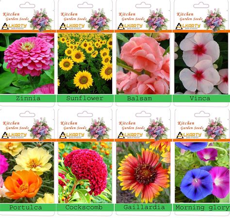 summer flower seeds