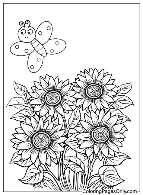 sunflower coloring page colored