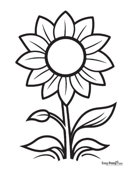 sunflower coloring page easy