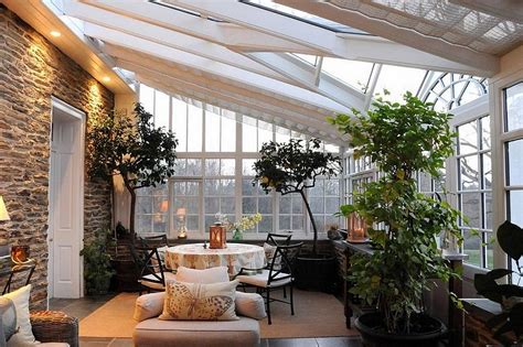 sunroom plants