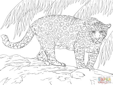 supercoloring com animals