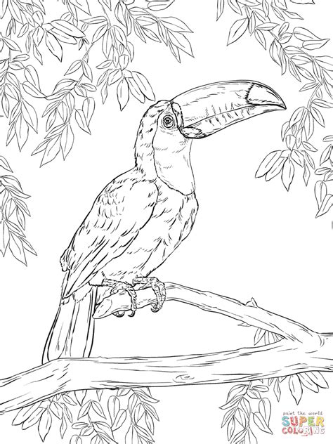 supercoloring com coloring pages