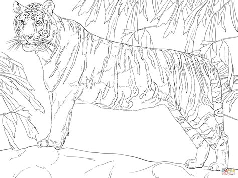 supercoloring tiger
