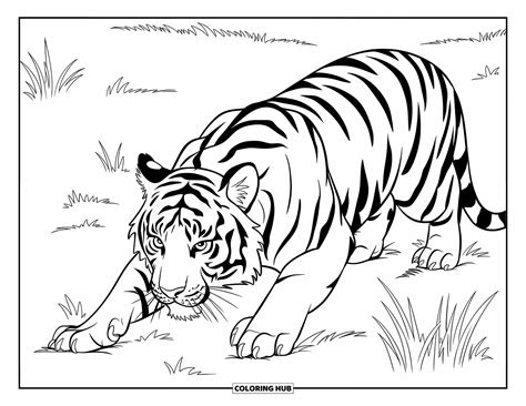 supercoloring tiger