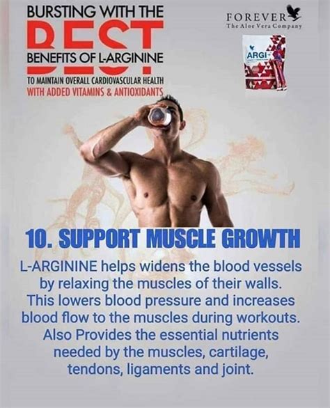 supports muscle growth