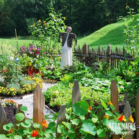 survival garden
