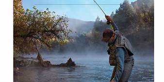 Sustainability in Orvis's Fly Fishing