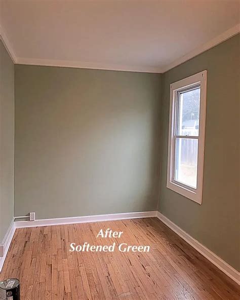 sw softened green