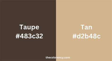 taupe vs tan