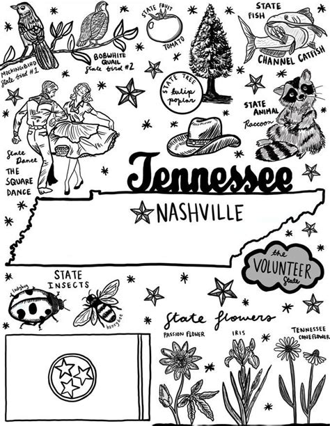 tennessee coloring pages