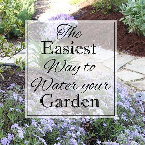 the best way to water your garden